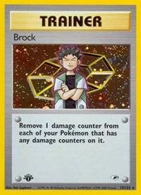 POKEMON Brock (15)